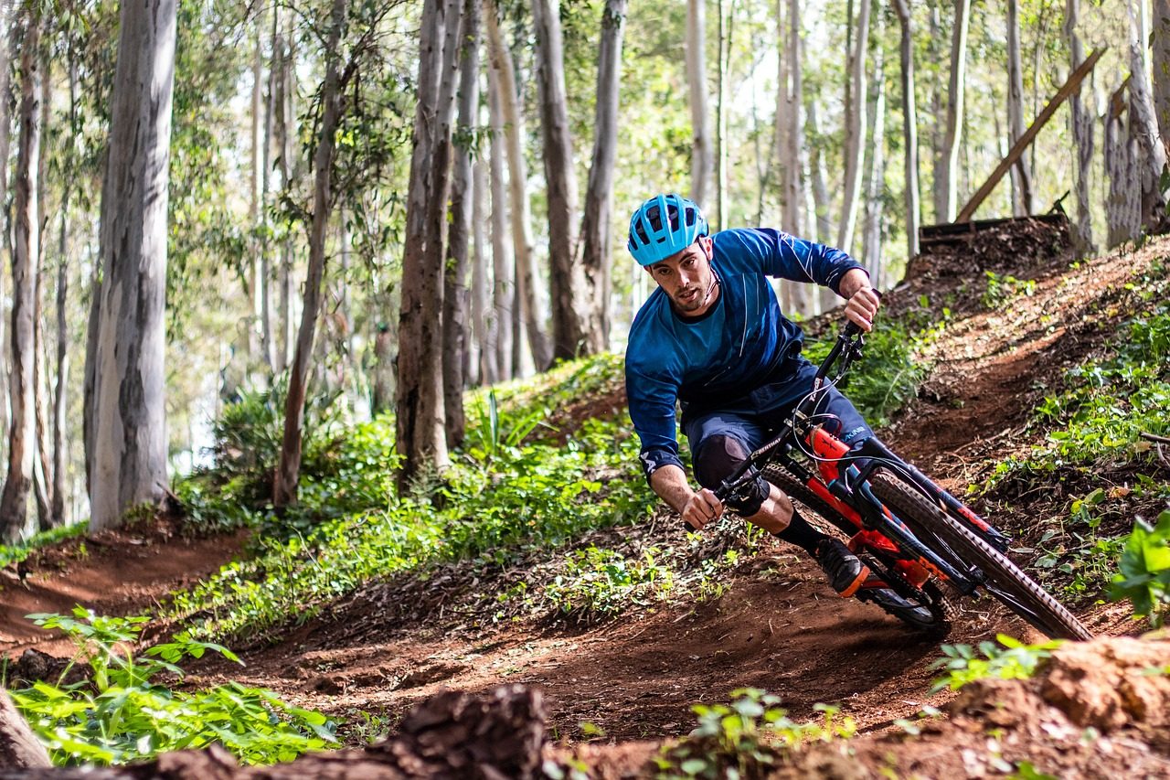 bike, cyclist, mountain